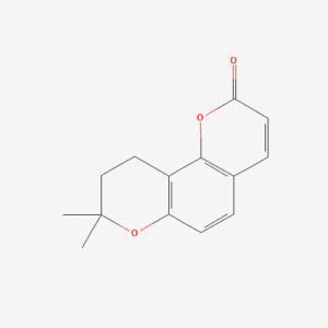 imagefly 55 - BIORLAB