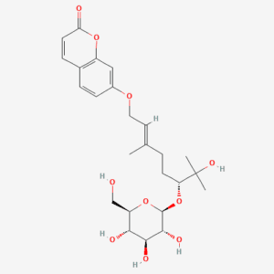 imagefly 56 - BIORLAB