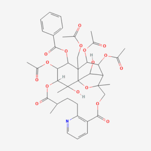 imagefly 62 - BIORLAB