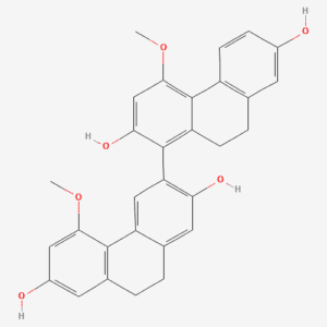 imagefly 67 - BIORLAB