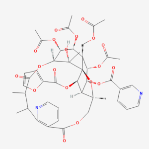 imagefly 71 - BIORLAB