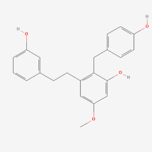 imagefly 74 - BIORLAB