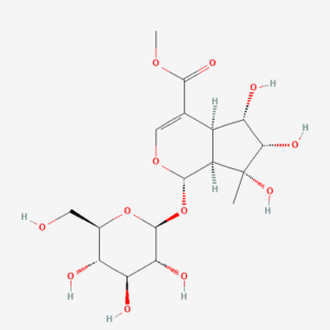 imagefly 81 - BIORLAB