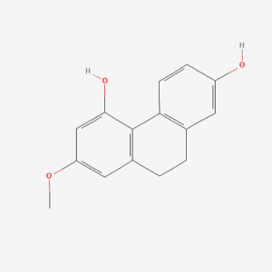 imagefly 88 - BIORLAB