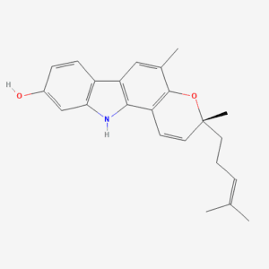 imagefly 89 - BIORLAB