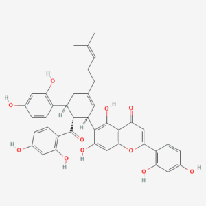 imagefly 92 - BIORLAB