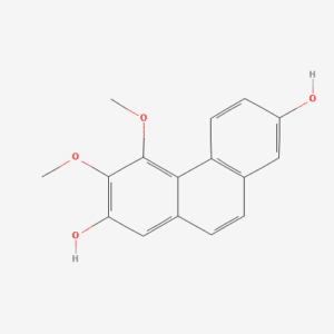 imagefly 95 - BIORLAB