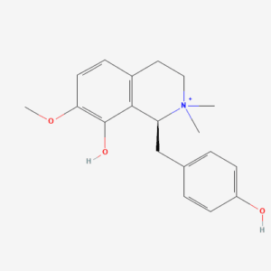 imagefly 96 - BIORLAB