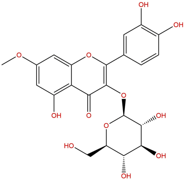 011e9b63fea7fd82f03fd30187c8f51f - BIORLAB