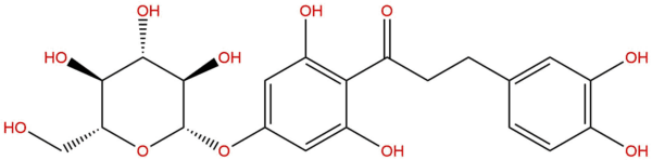 0439c0344792c339dad07a3002d23cca - BIORLAB