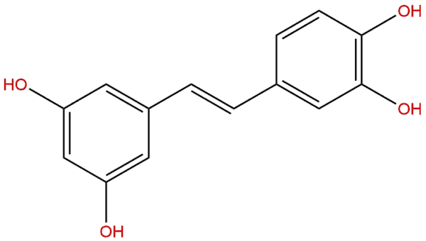 10083 24 6 - BIORLAB