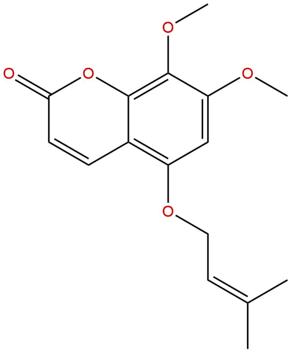 104196 69 2 - BIORLAB