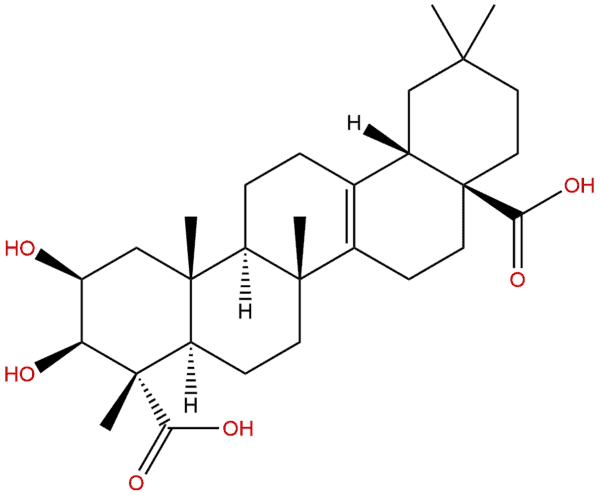 1260 04 4 - BIORLAB