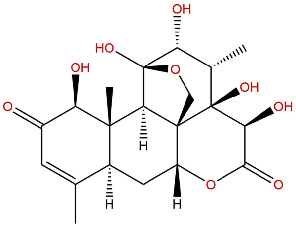 129587 06 0 - BIORLAB