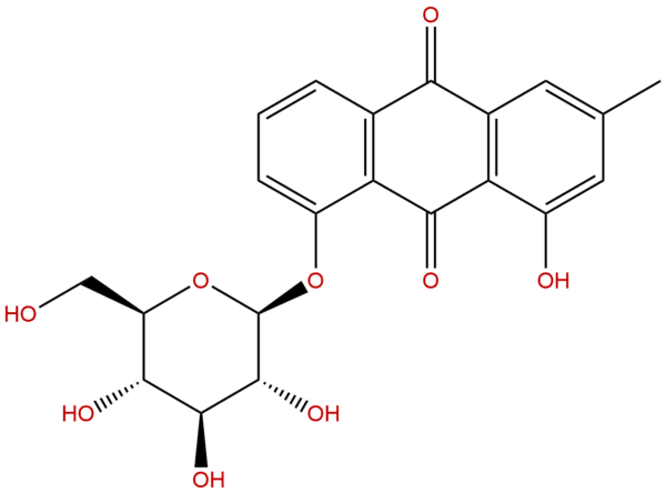 13241 28 6 - BIORLAB