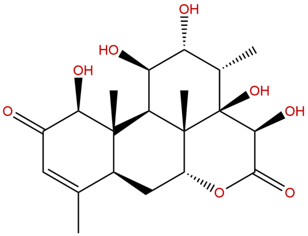 137359 82 1 - BIORLAB