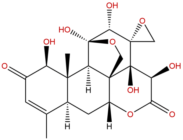 138809 10 6 - BIORLAB