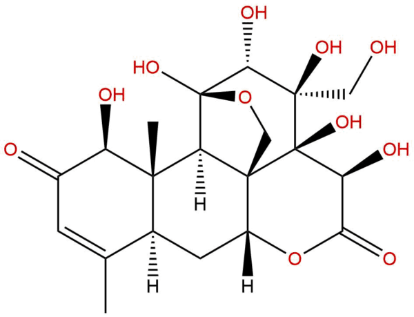 138874 44 9 - BIORLAB