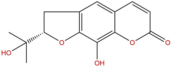 13895 92 6 - BIORLAB