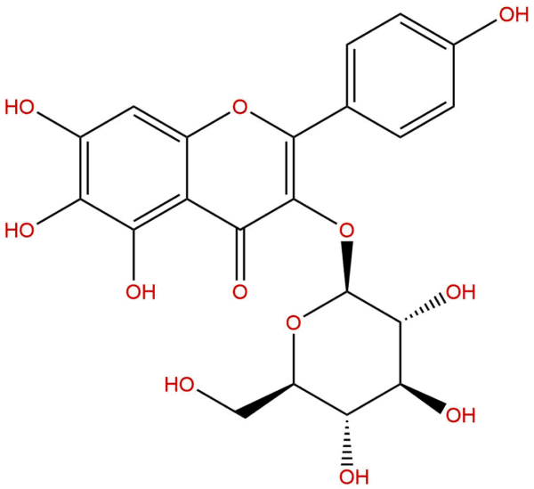 145134 61 8 - BIORLAB