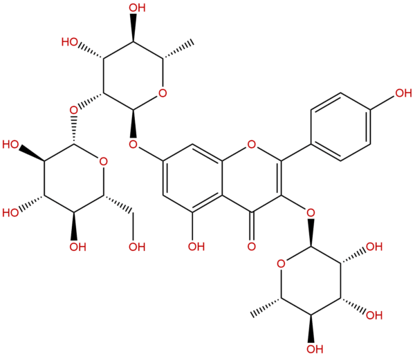 156980 60 8 - BIORLAB