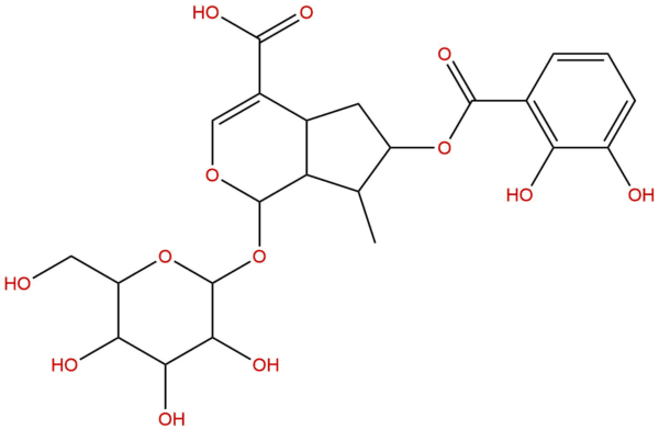 157722 21 9 - BIORLAB