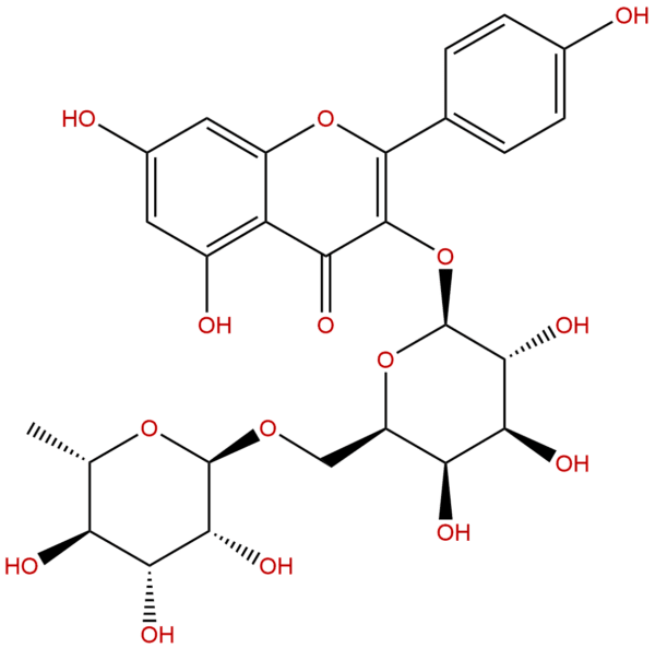 17297 56 2 - BIORLAB