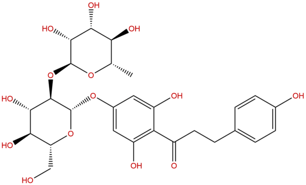 18916 17 1 - BIORLAB