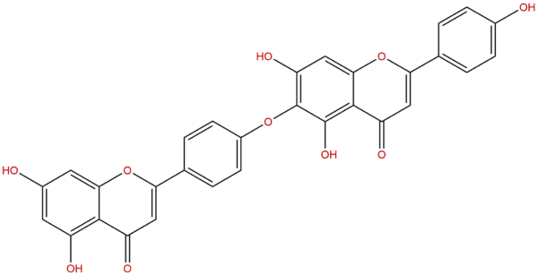 19202 36 9 - BIORLAB