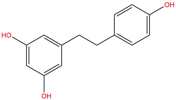 19a83a3fba0bbfcf76b1d0209a2e35c1 - BIORLAB