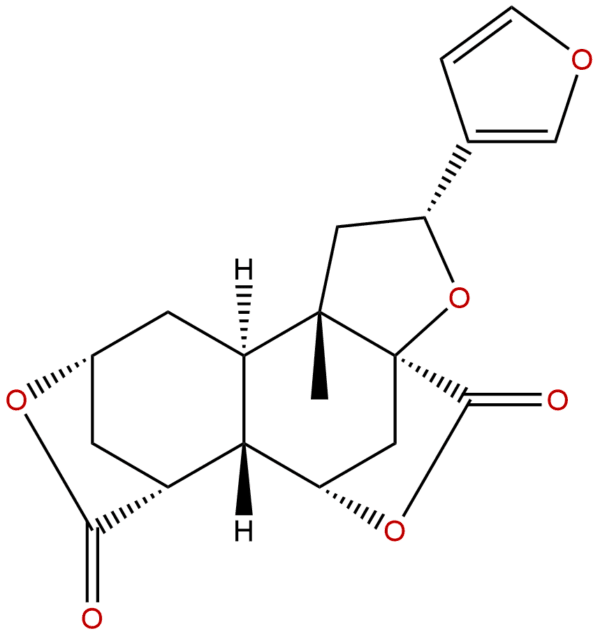 20086 06 0 - BIORLAB