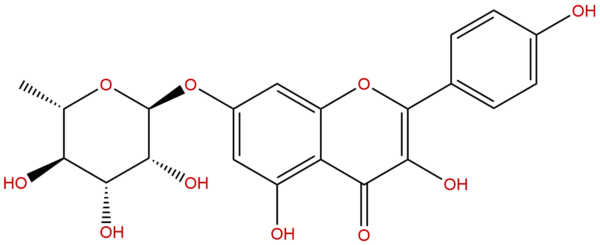 20196 89 8 - BIORLAB