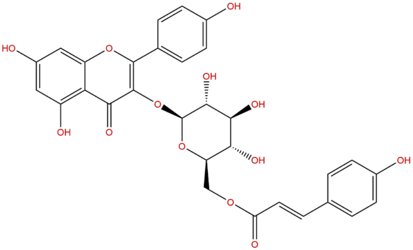 20316 62 5 - BIORLAB