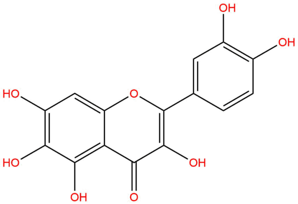 2145a6f8a9bbbc57f765ec4b36a8378d - BIORLAB