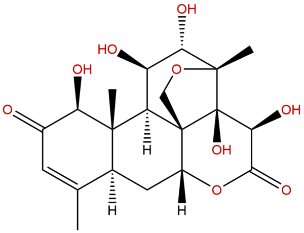 21499 66 1 - BIORLAB