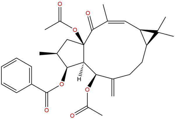 218916 52 0 - BIORLAB