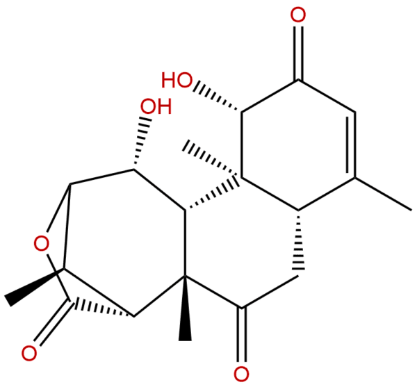 23062 24 0 - BIORLAB