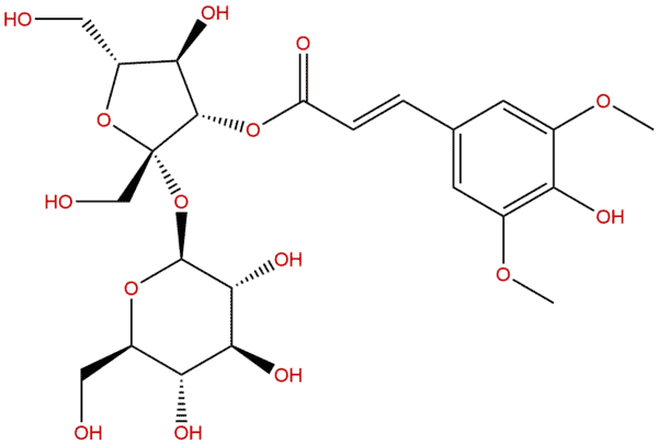 241125 75 7 - BIORLAB