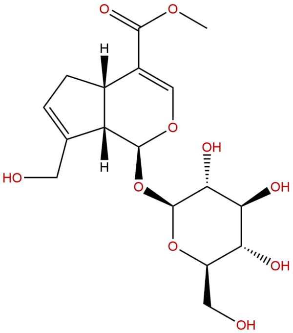 24512 63 8 - BIORLAB