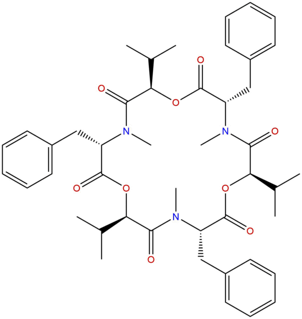 26048 05 5 - BIORLAB