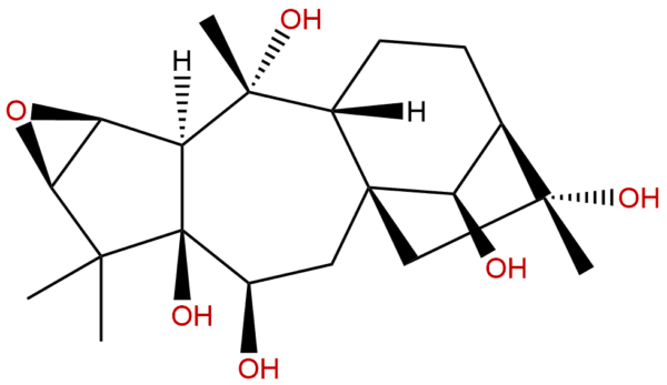 26342 66 5 - BIORLAB