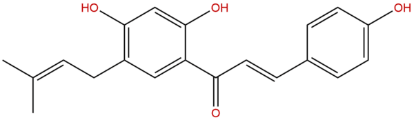 28448 85 3 - BIORLAB