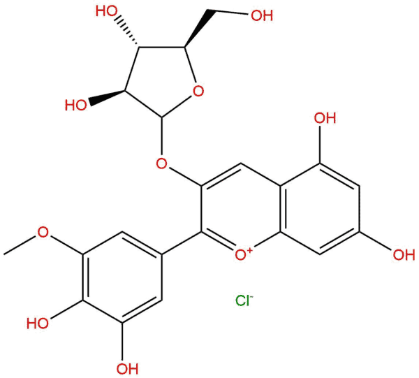 28500 03 0 - BIORLAB