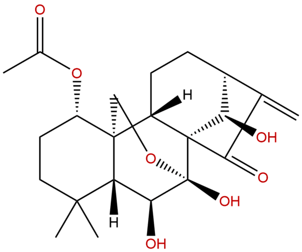 28957 08 6 - BIORLAB