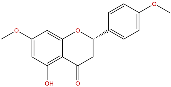 29424 96 2 - BIORLAB