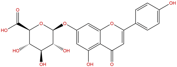 29741 09 1 - BIORLAB