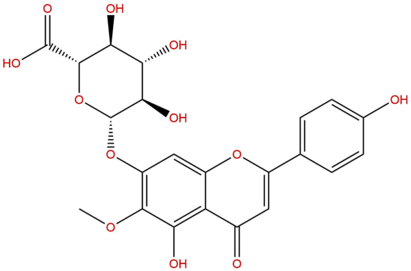 31105 76 7 - BIORLAB