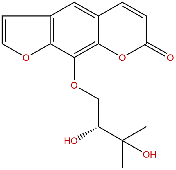 31575 93 6 - BIORLAB