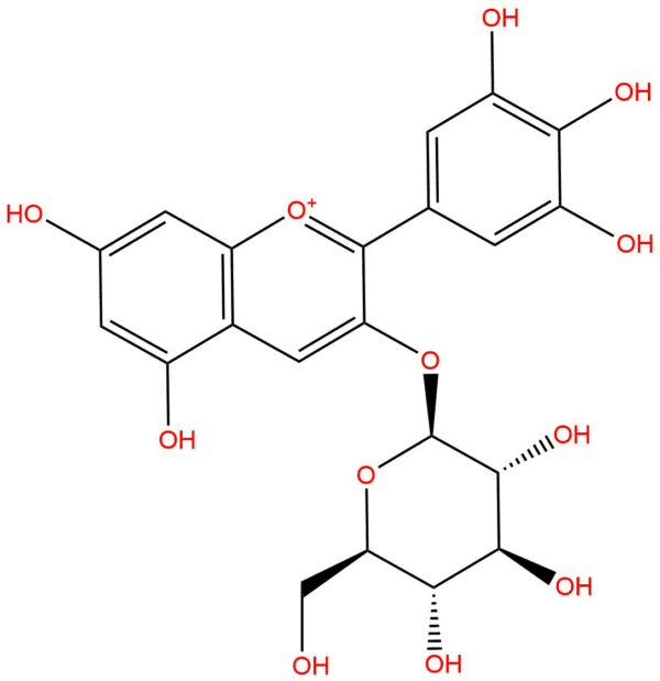 31fea858a78cbd9b1facfff077bcd611 - BIORLAB