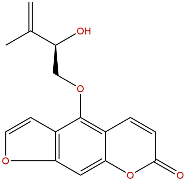 33783 80 1 - BIORLAB